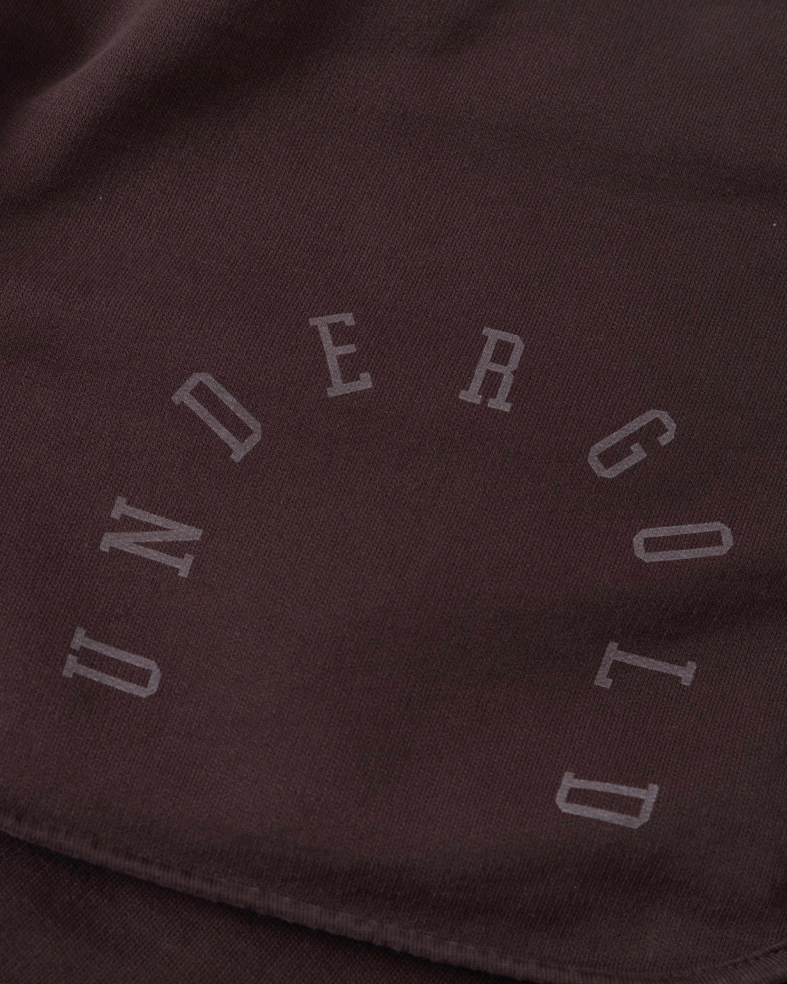 Stardust Basic Biased Shorts Brown