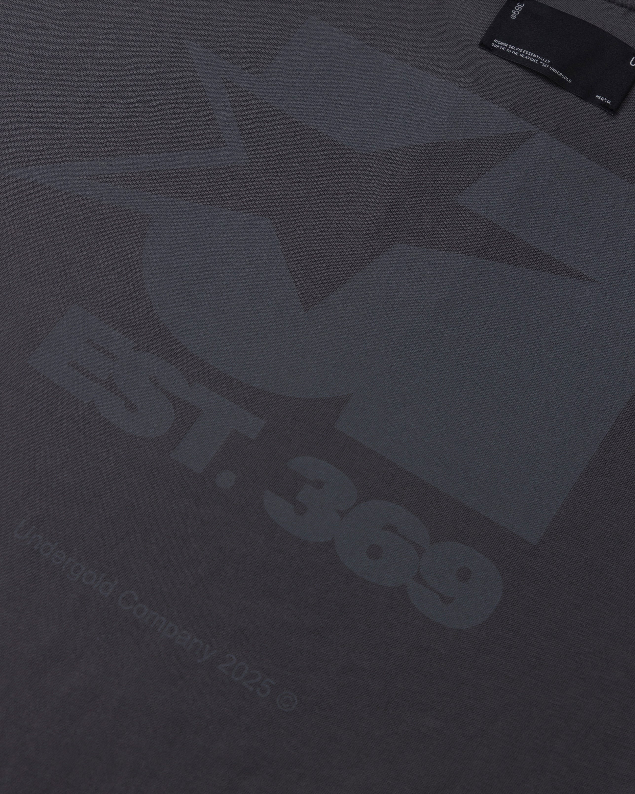 Stardust Symbol Tshirt Gray