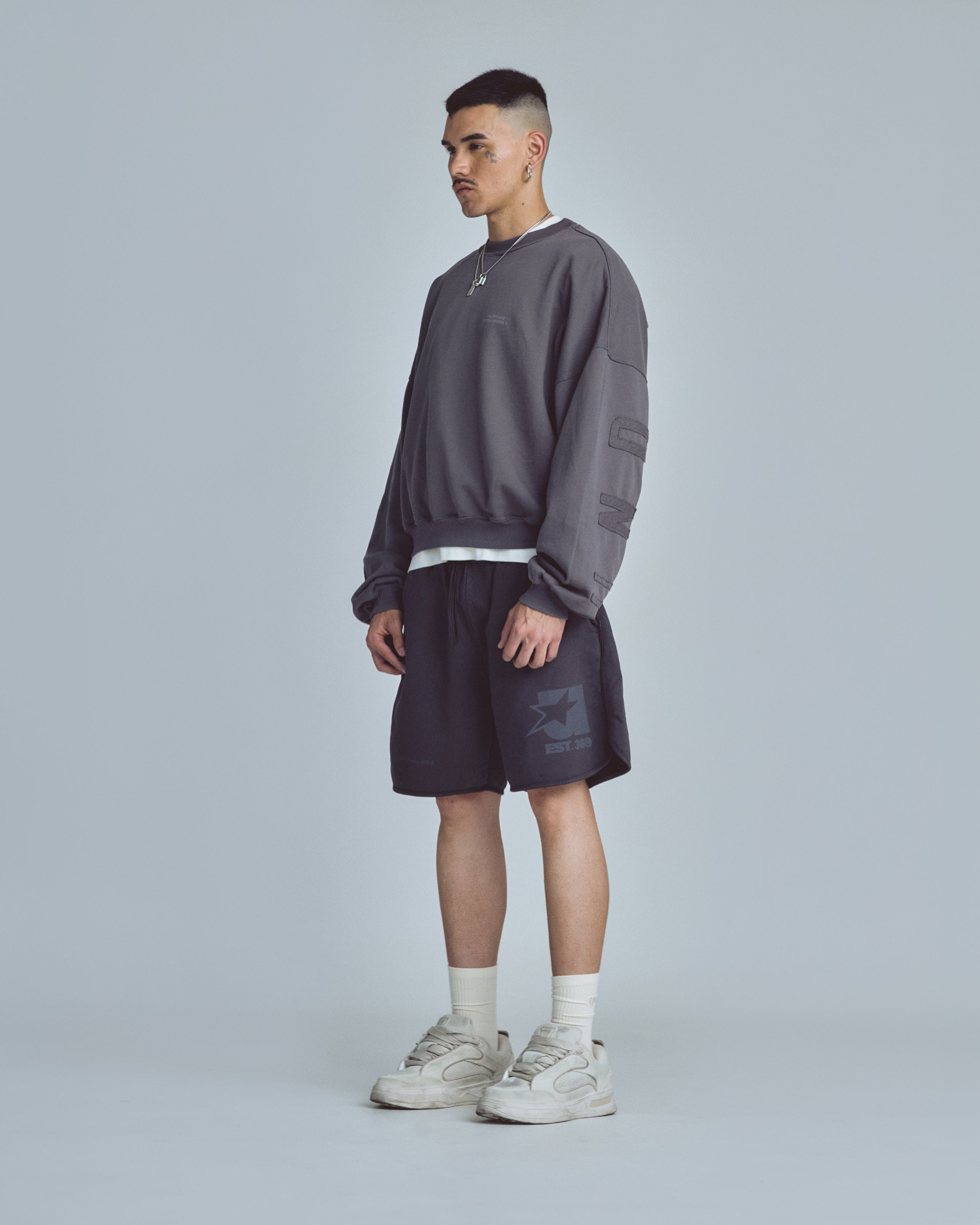 Stardust Basic Boxy Fit Crewneck Gray