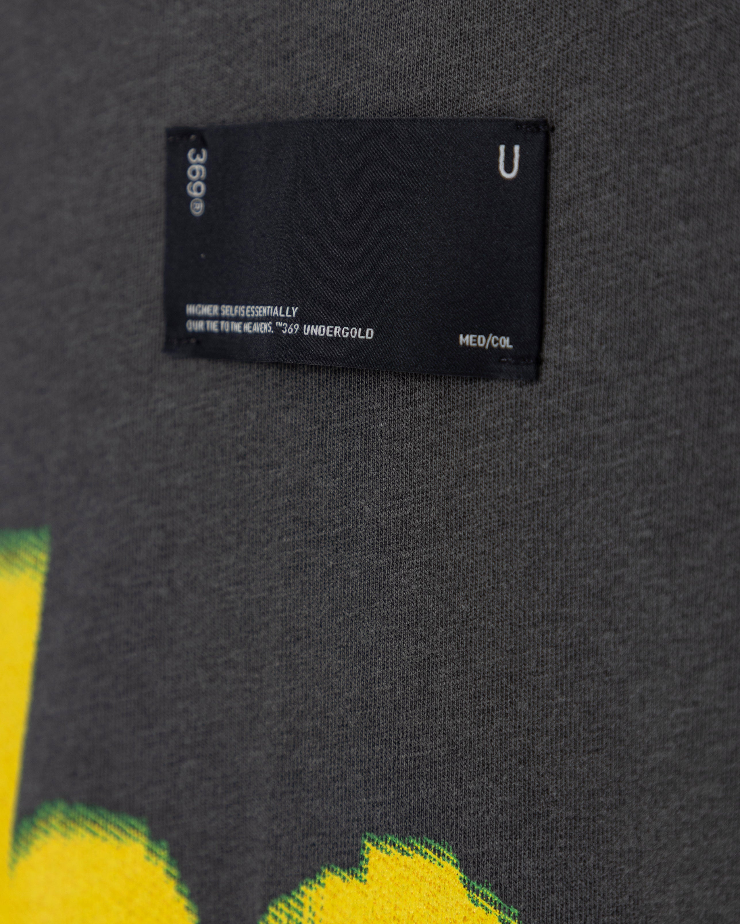 Echoes Echo Tshirt Old Washed Gray