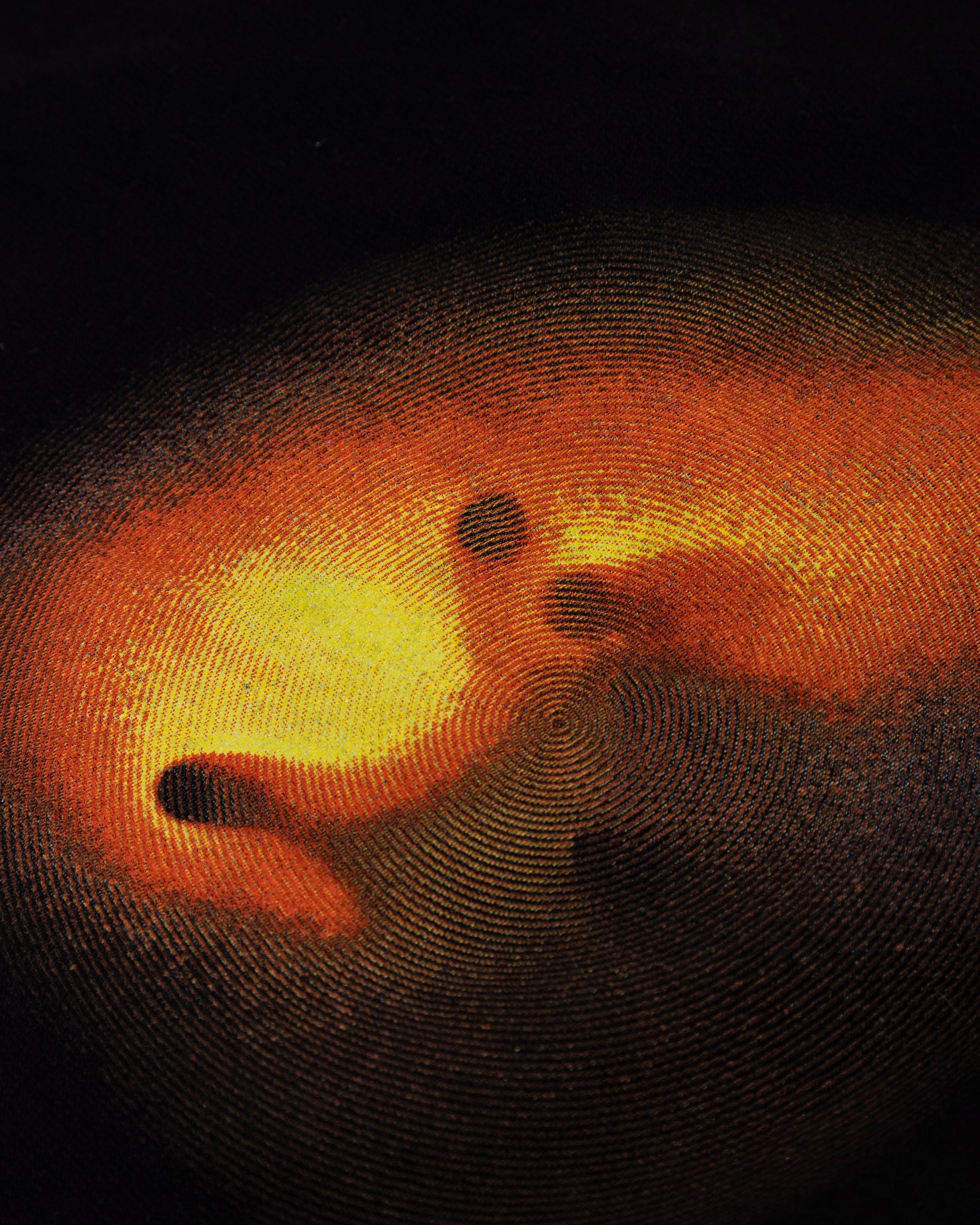 Echoes Pulse Biased Shorts Black