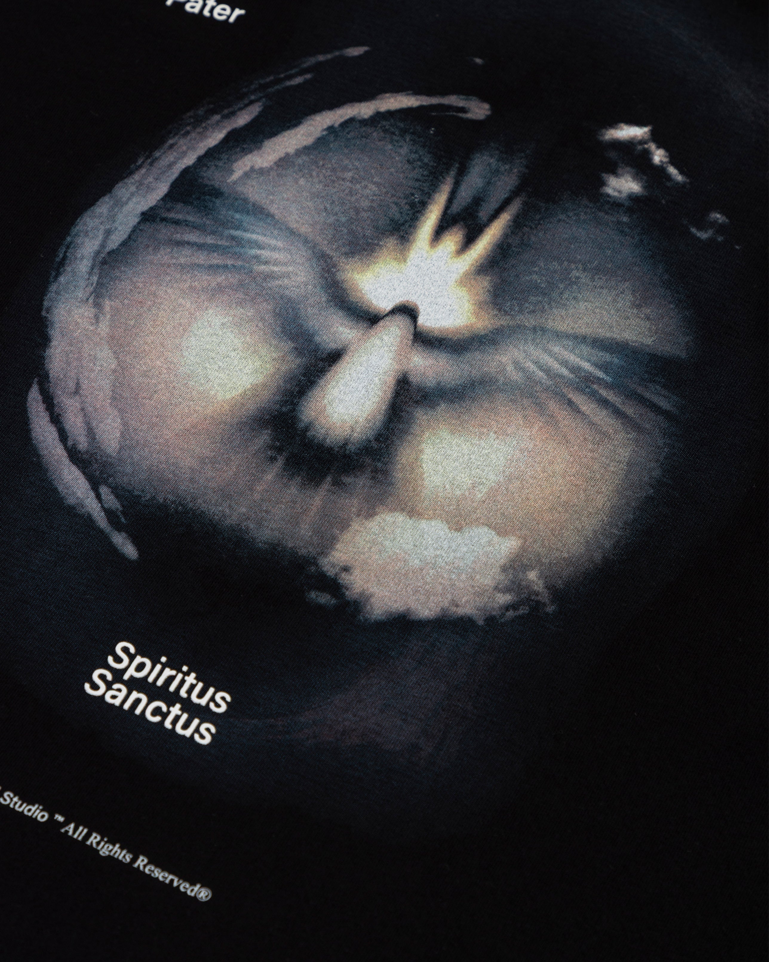 Spring Spiritus Sanctus Tshirt Black