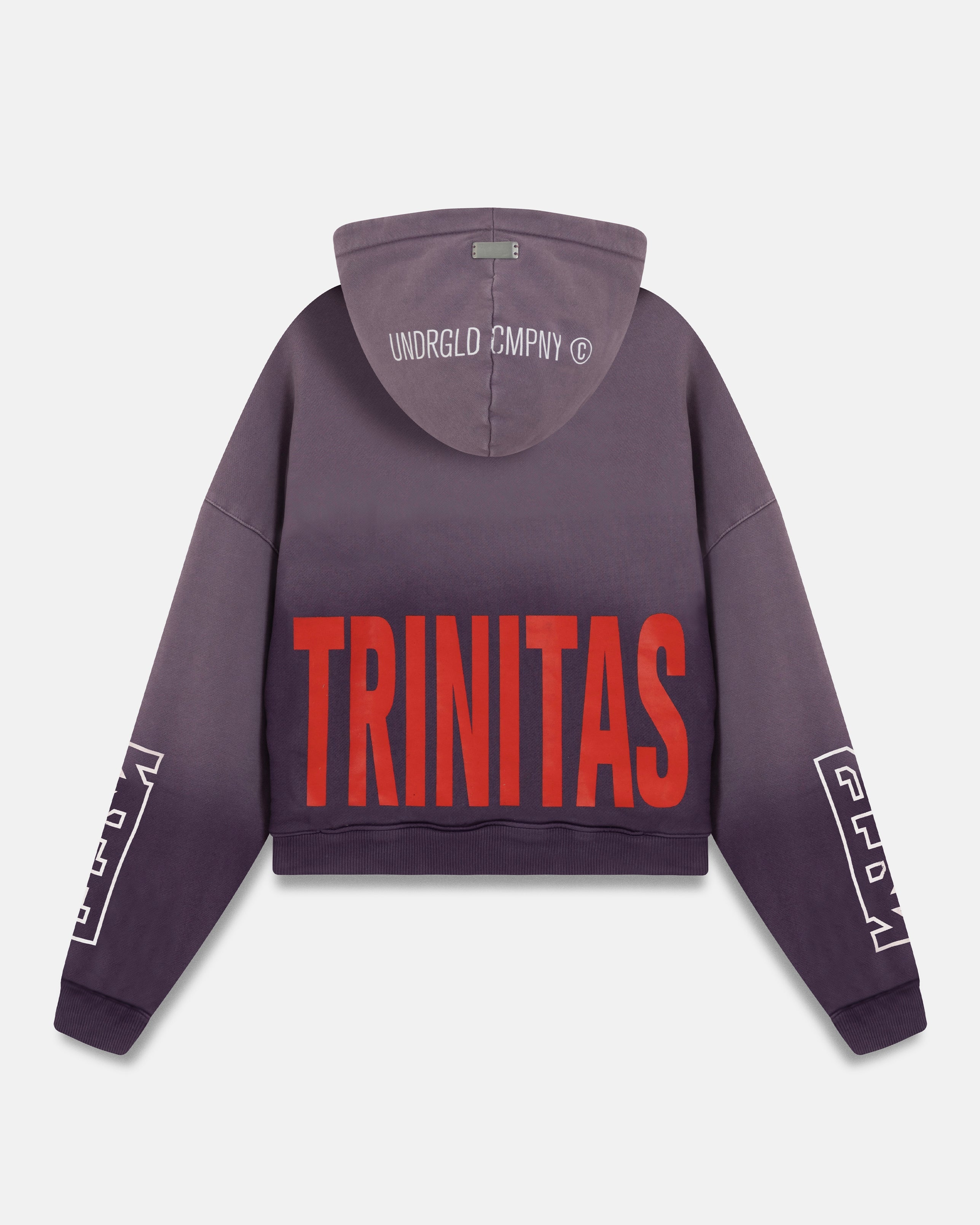 Spring Trinitas Boxy Fit Hoodie Sandblast Grape