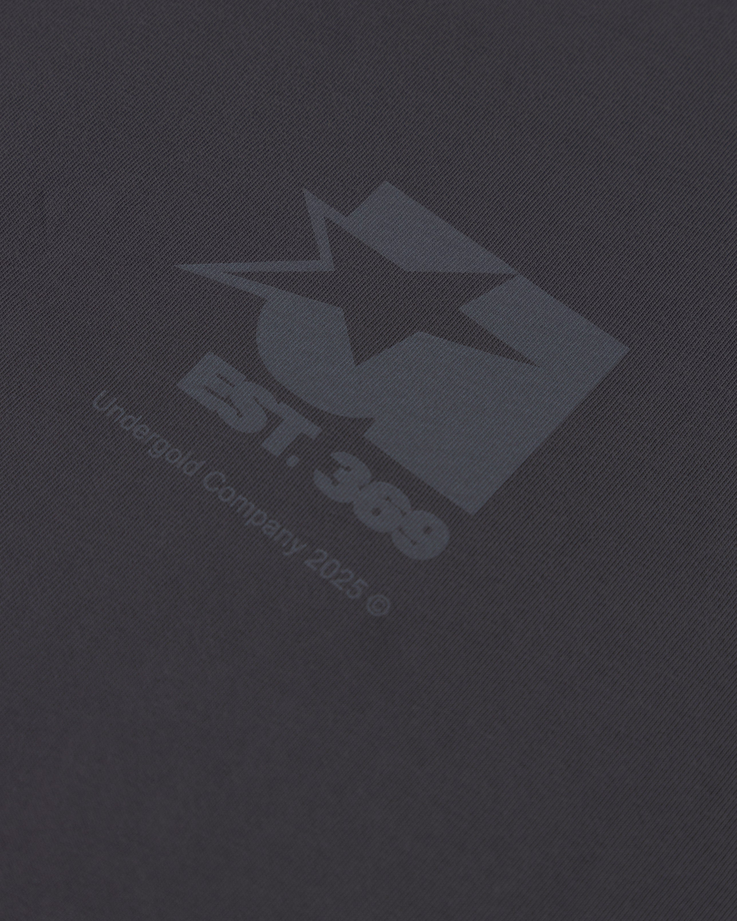Stardust Symbol Tshirt Gray