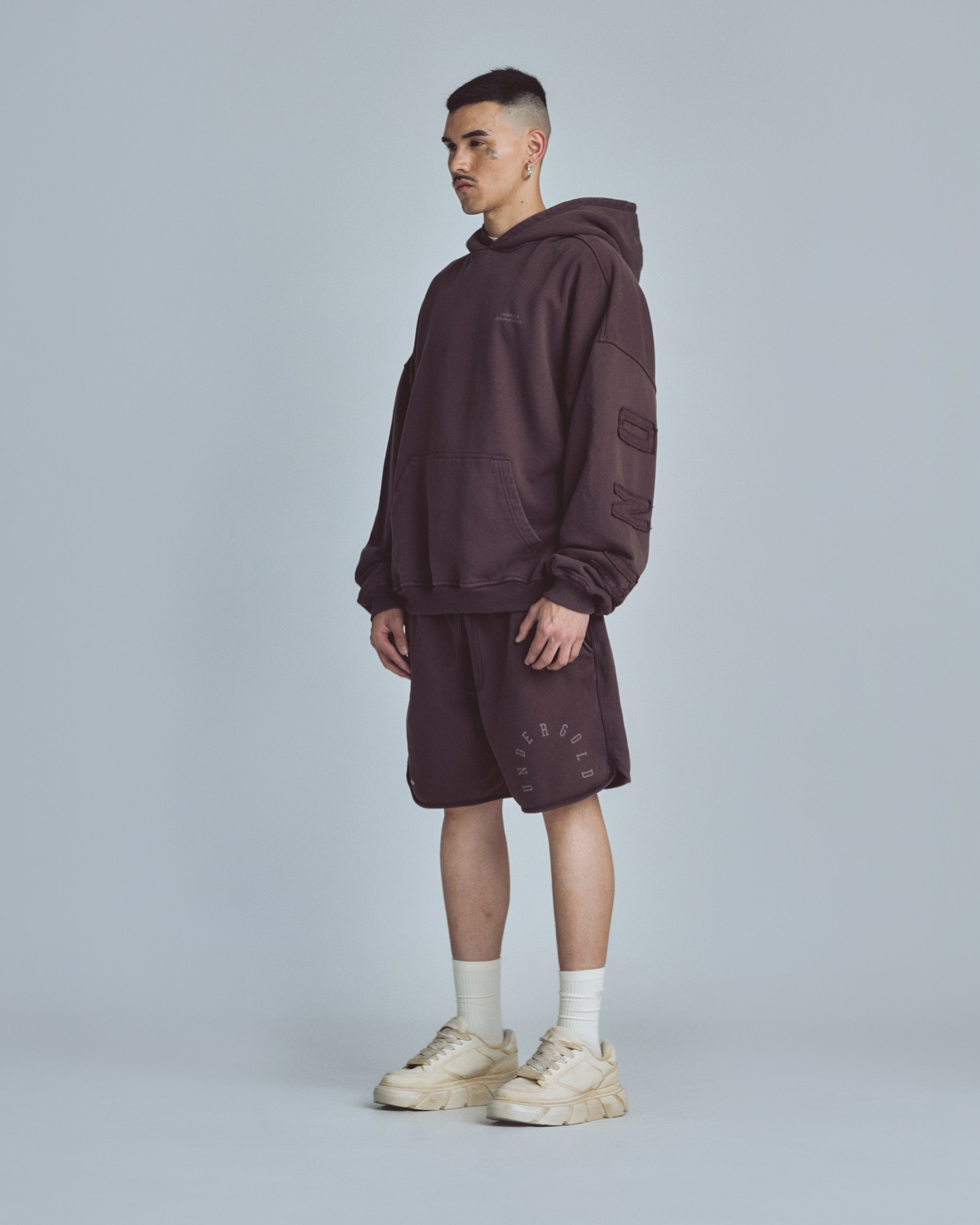 Stardust Basic Biased Shorts Brown