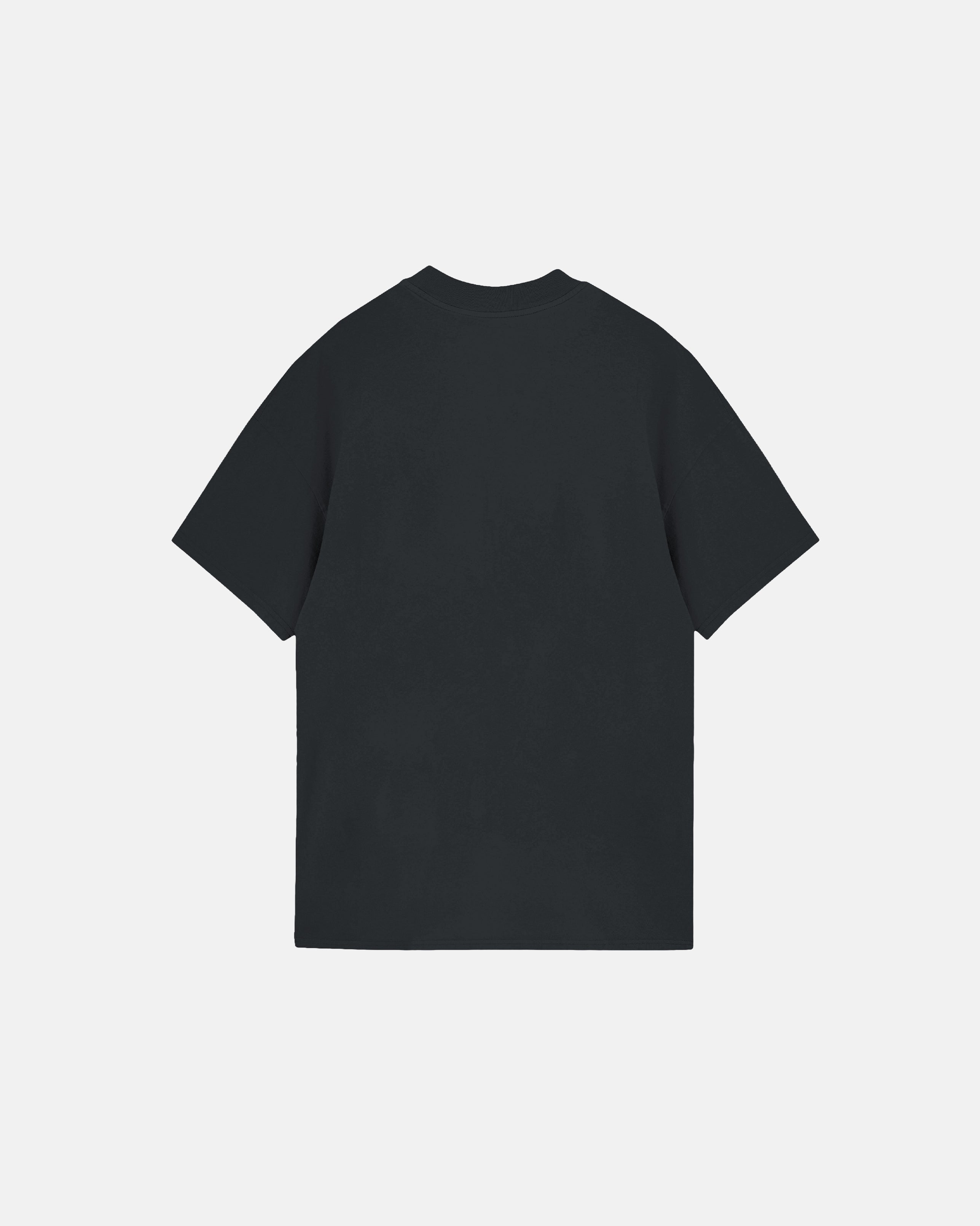 Basics Tiny Logo Regular Fit Tshirt Gray