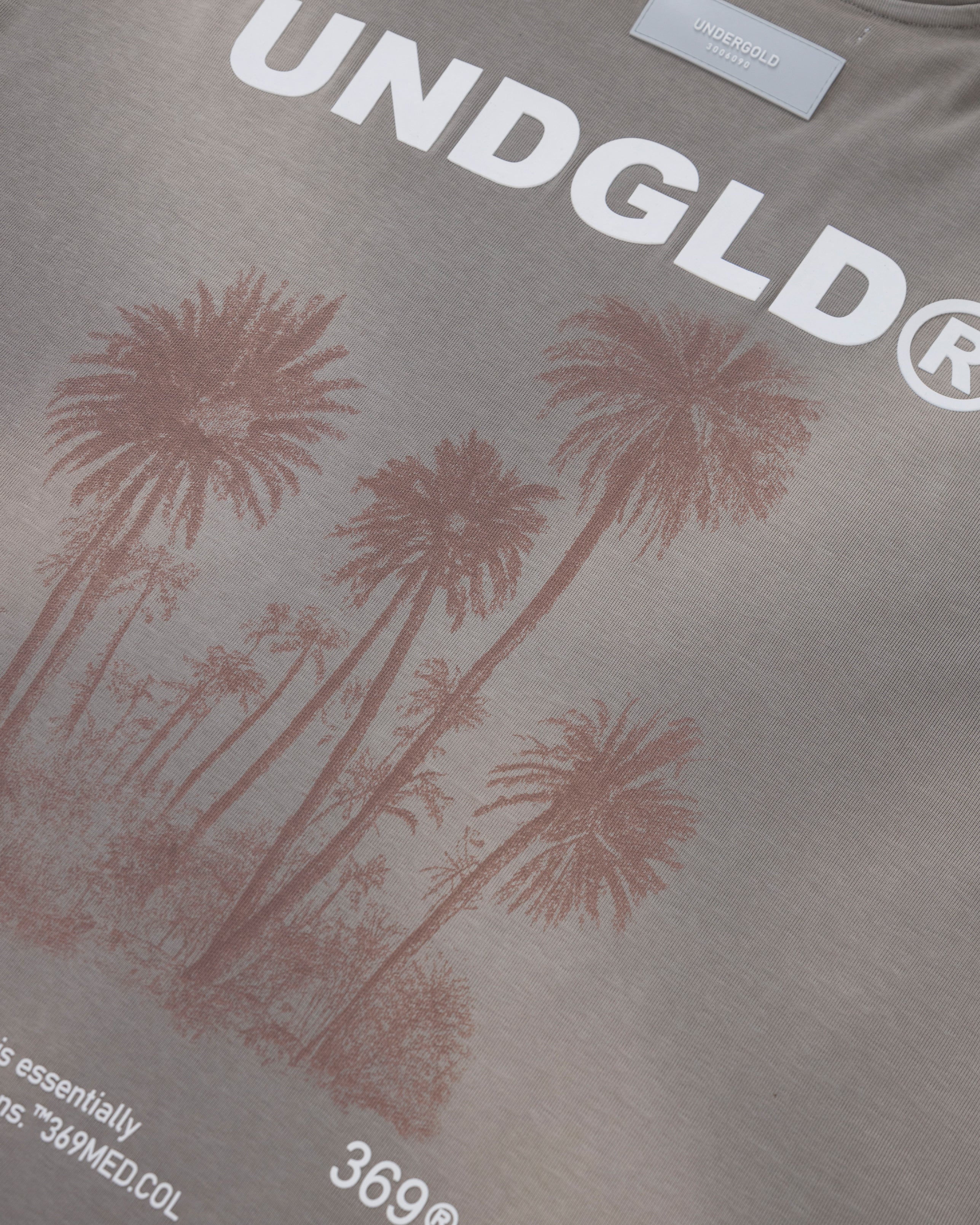 Beyond Palms Boxy Fit Tshirt Vintage Gray