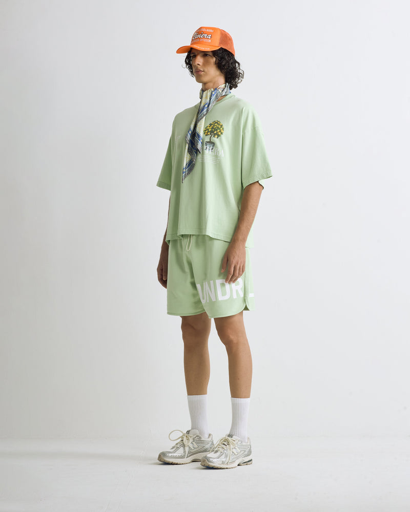 Riviera Lemon Tree Boxy Tshirt Green