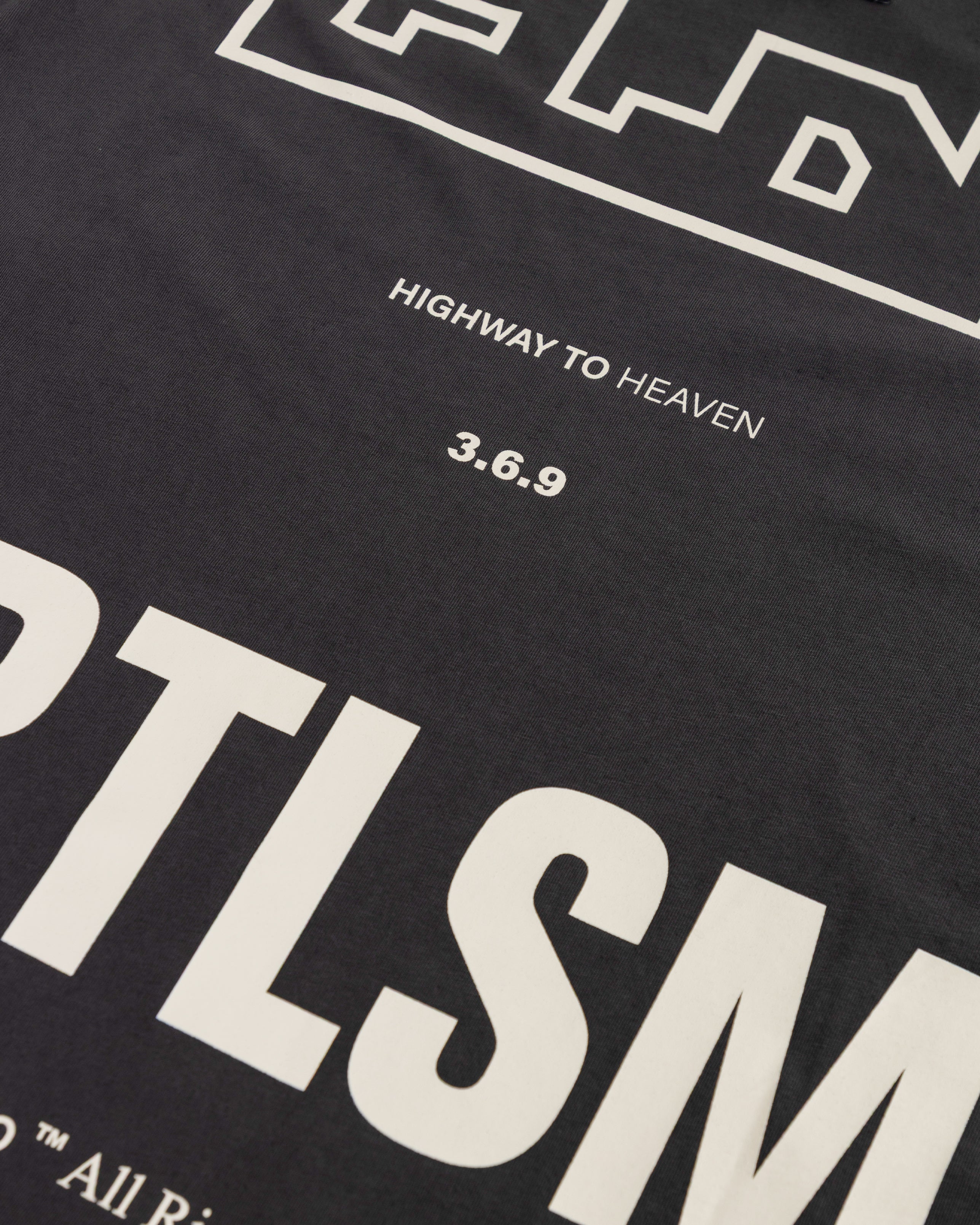 Spring Ascension Tshirt Vintage Gray