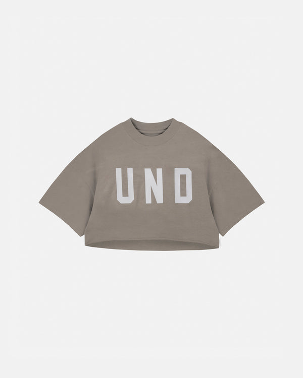 The One UNDGLD Crop Top Gray